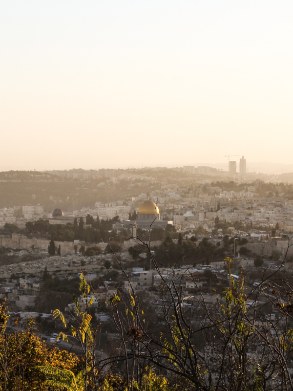 Welcome to Israel (Video)