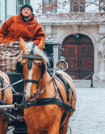 Geheimes Wien – eine Behind the Scenes-Tour durch Wien mit Secret Vienna