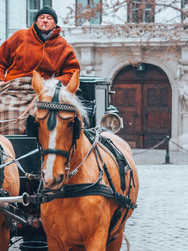 Geheimes Wien – eine Behind the Scenes-Tour durch Wien mit Secret Vienna