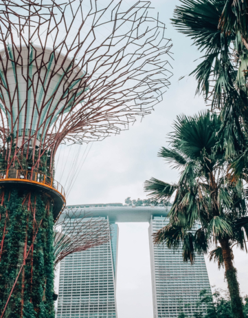 Singapur: 10 Tipps für deine Low Budget Reise