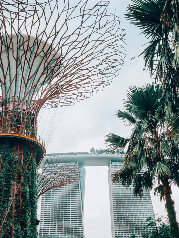 Singapur: 10 Tipps für deine Low Budget Reise