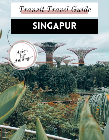 Singapur Transit Guide: Umsteigen & Singapur in 12 Stunden entdecken